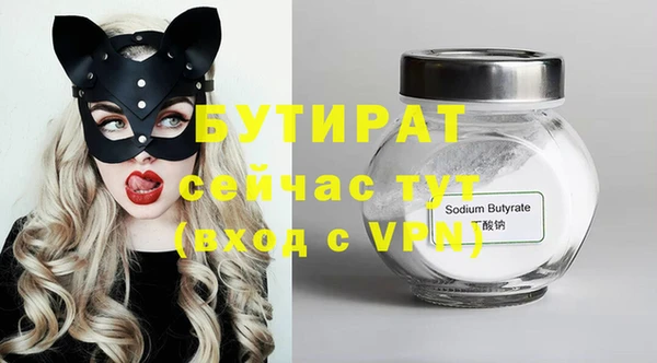 шишки Бородино