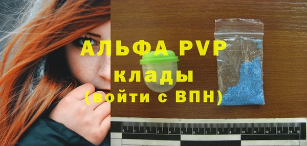 шишки Бородино