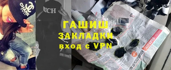 шишки Бородино