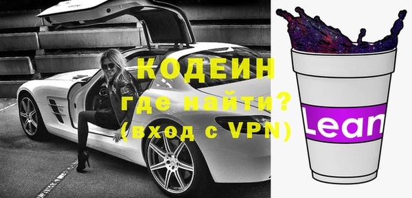 шишки Бородино