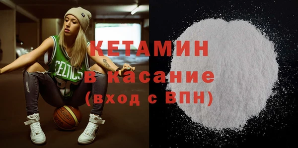 шишки Бородино