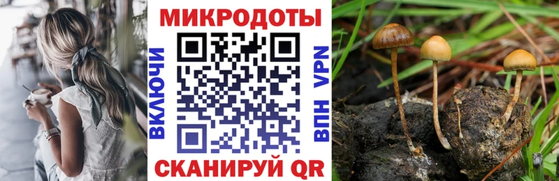 Купить закладки Углегорск Галлюциногенные грибы GOLDEN TEACHER